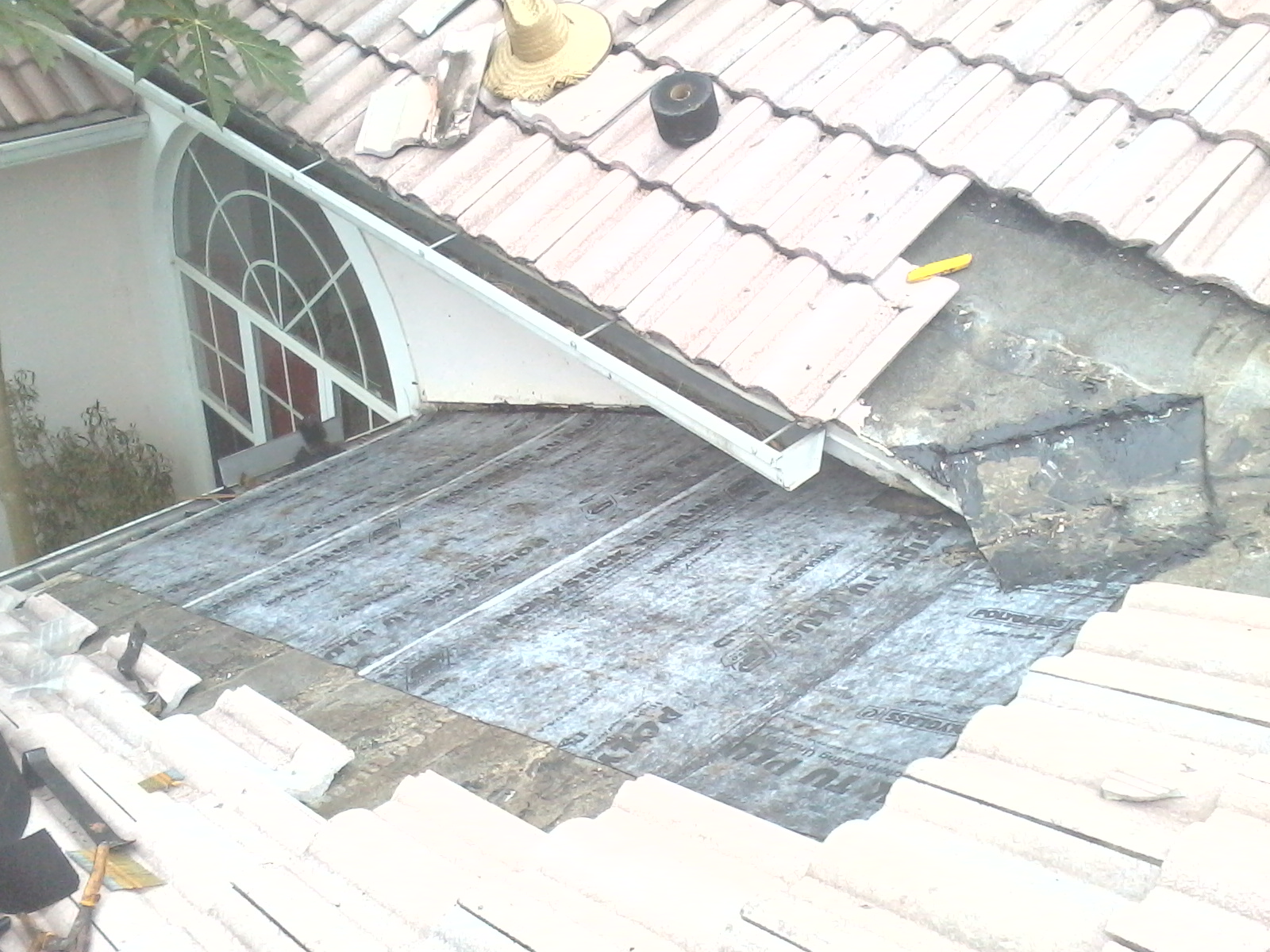 42 KWitter Repairing Roof