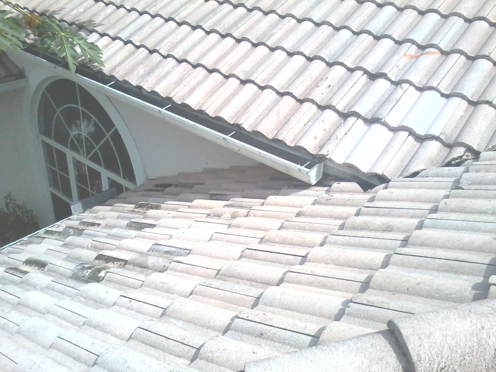 43 KWitter Repairing Roof